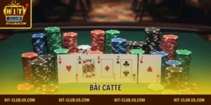 bài catte