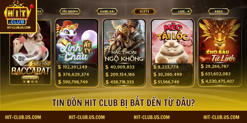 hit club bị bắt