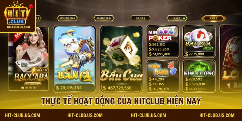 hit club bị bắt