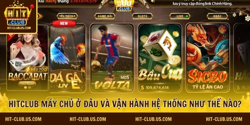 Hitclub máy chủ ở đâu 4