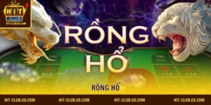 rồng hổ